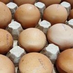 zaliu-kiausiniu-saldymas-kaip-tinkamai-paruosti-produkta-ilgalaikiam-saugojimui-be.jpg
